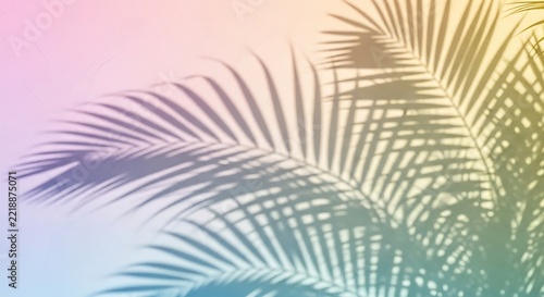 Soft palm leaf shadow on a pastel rainbow gradient background wallpaper