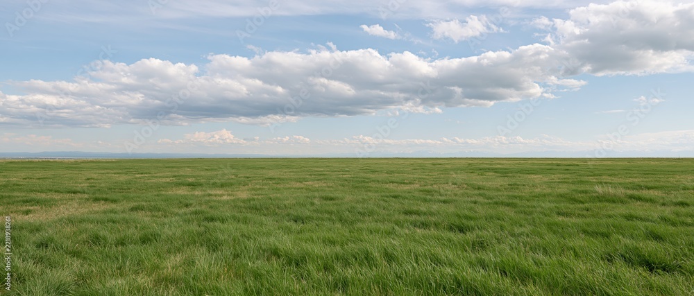 Fototapeta premium Wide panoramic view of a flat open grass field stretching to a low horizon under a partly cloudy sky