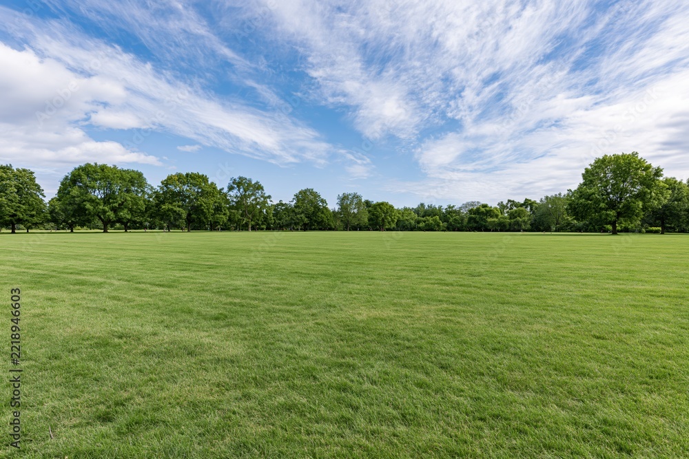 Fototapeta premium The Expansive Open Field Under a Bright Blue Sky with Trees
