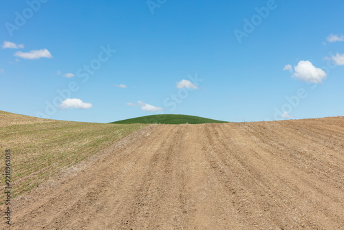 The Palouse, a large fertile agricultural prairie region, bare prairie soil, ploughed and ready for a crop.