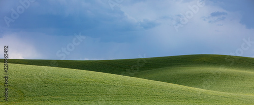 The Palouse, a large fertile agricultural prairie region, green slopes, wheat crops growing on the prairie.