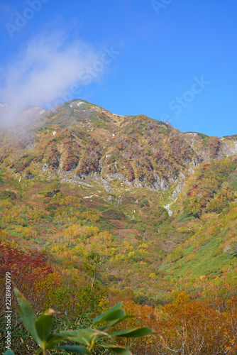 栂池自然園の紅葉