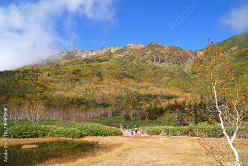 栂池自然園の紅葉
