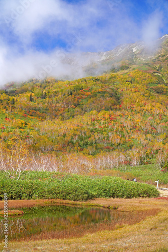 栂池自然園の紅葉