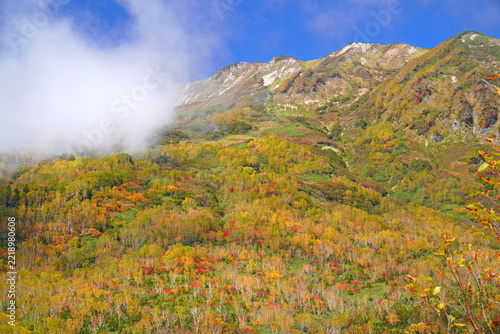 栂池自然園の紅葉