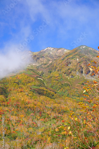 栂池自然園の紅葉