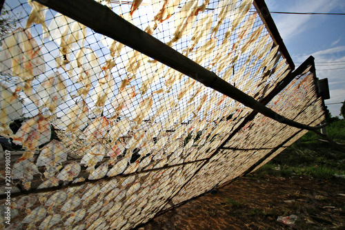 Processed seafood from the fishing village of Ban Bo Mao in Pathio District, Chumphon Province, Thailand