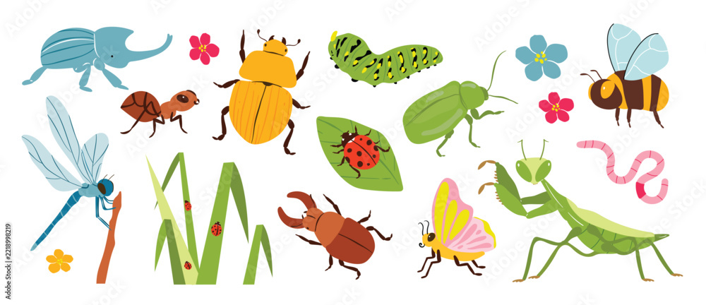 Naklejka premium Colorful Garden Insects Vector Set with Beetles Butterfly and Bee