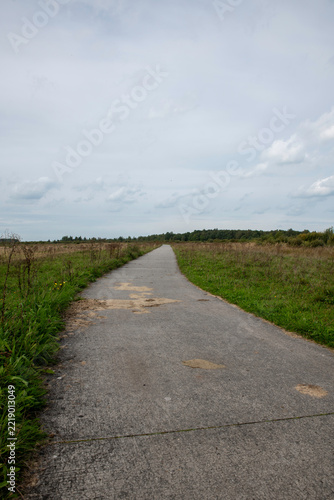 Empty Country Road Path Through Green Fields Under Overcast Sky Leading To Distant Tree Line