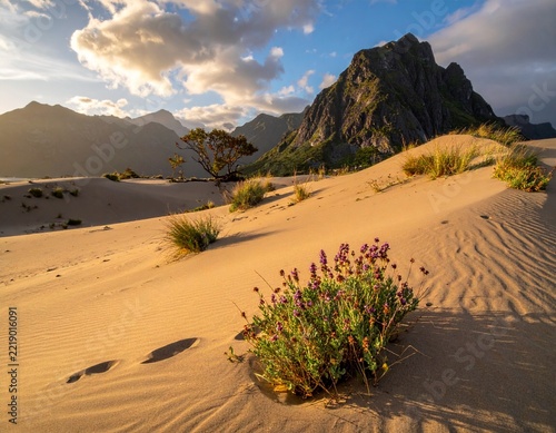 sand dunes in death valley