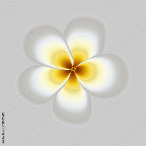 White Yellow Blending Flower Illustration Vector