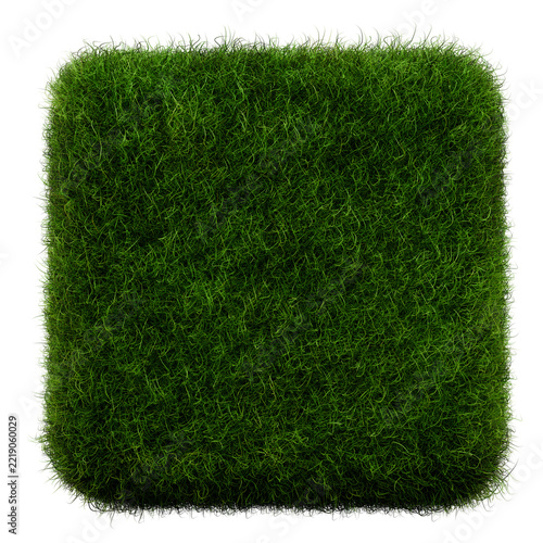 green grass isolated on white background