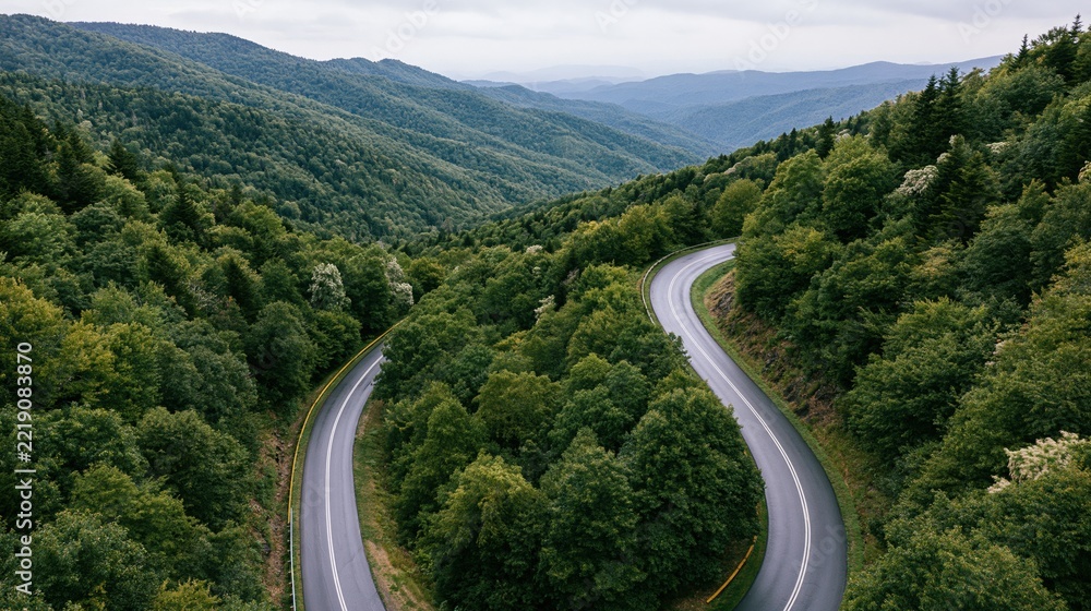 Naklejka premium Aerial view of a winding two-lane asphalt highway curving through a dense forested valley surrounded by mountains