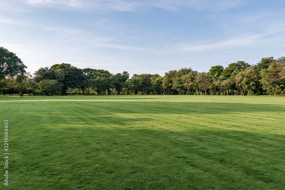 Naklejka premium The Serene Green Field of a Park Under a Clear Blue Sky