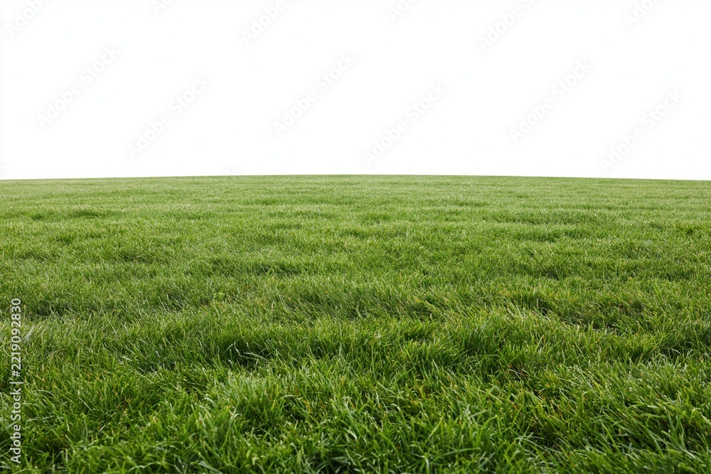 Fototapeta premium The Grass Field Expansive Under Bright White Sky At The Horizon