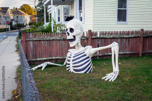 Giant skeleton Halloween yard decoration breaking out of ground at suburban Boston house