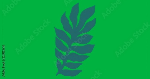 Designer placing blue fern graphic on transparent background showing botanical design for marketing