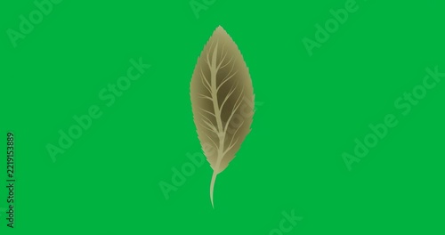 Upon starting brown leaf rotating clockwise swinging upright and settling into idle motion