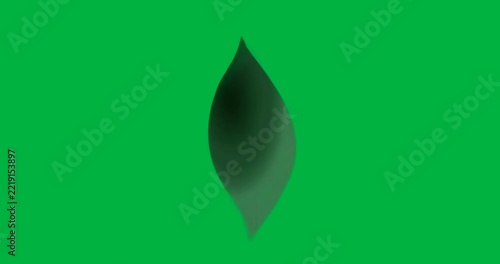 At start abstract leaf shape rotating on transparent backdrop with blue glow outlining edges