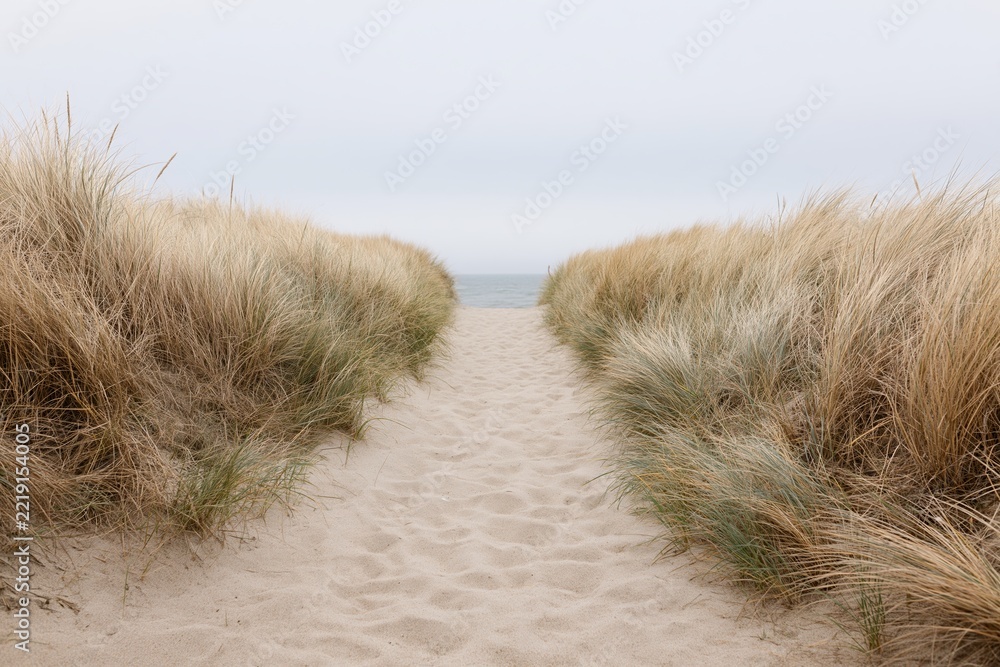 Fototapeta premium The Gentle Path Through Wind Swept Dunes to the Calm Sea