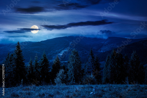 rural fields on rolling hills at night. full moon over green countryside scenery in early autumn. beautiful mountain landscape. backdrop for fiction art or mystery concept