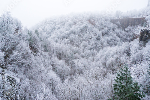 Winter Fog Rock