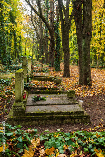grave yard at the october