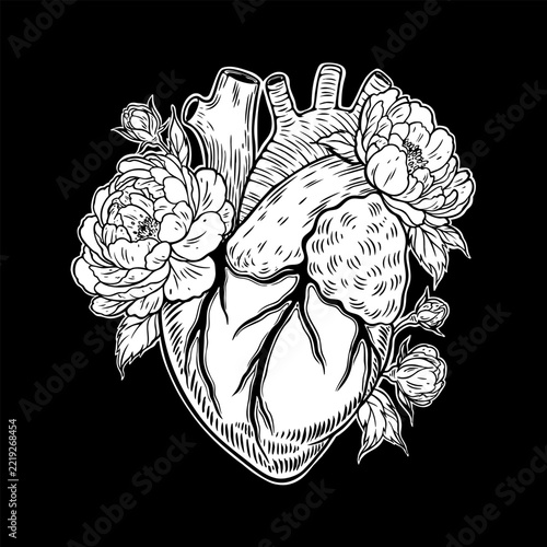 Anatomical Human Heart with Peony Flowers Vector Art