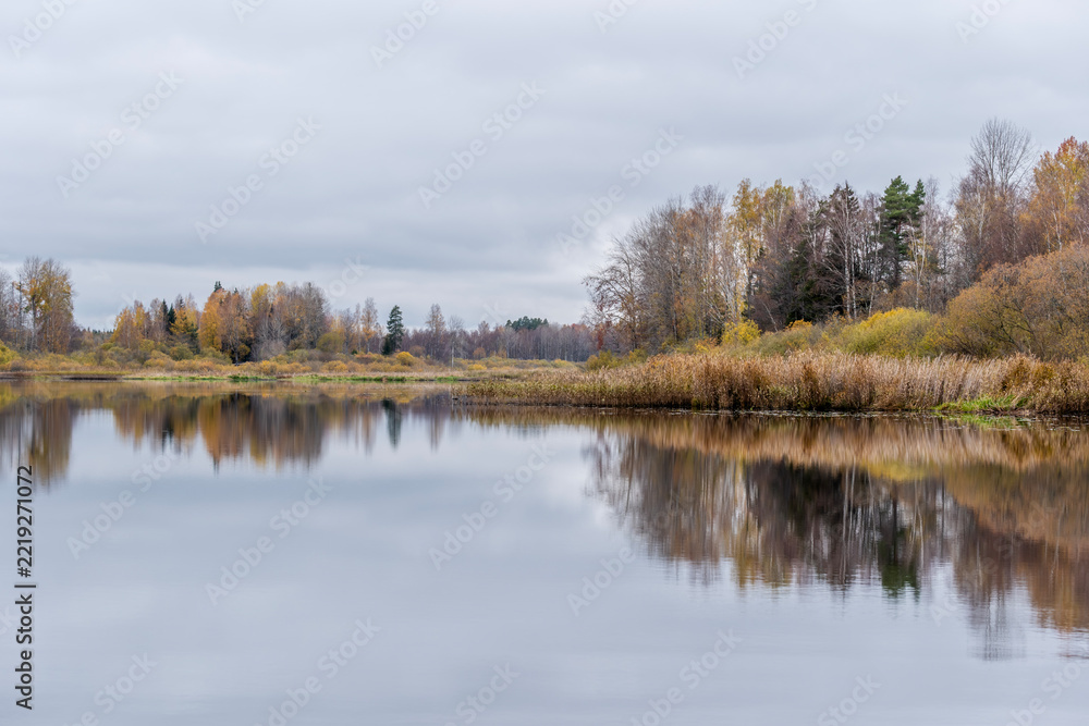 Fototapeta premium Swedish river and salmon area in autumn. Farnebofjarden national park in north of Sweden