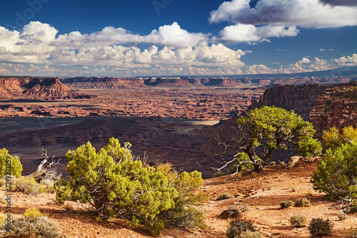 Incredible view in Canyonlands National Park, Island in the Sky district in Utah, USA