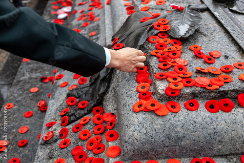 Remembrance Day ceremony in Canada. People pacing poppies on Tomb of the Unknown Soldier in Ottawa.
