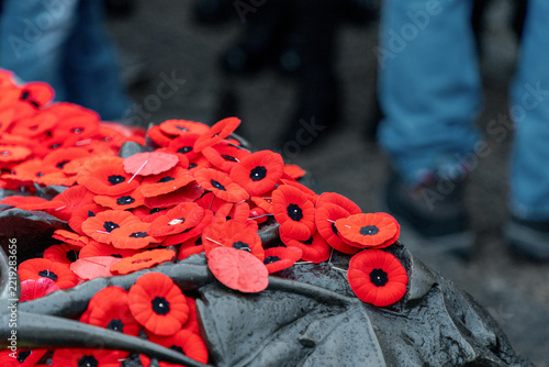 Remembrance Day red poppy flowers on Tomb of the Unknown Soldier in Ottawa, Canada.