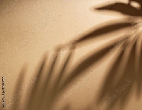 background with blurred foliage palm shadow on beige wall