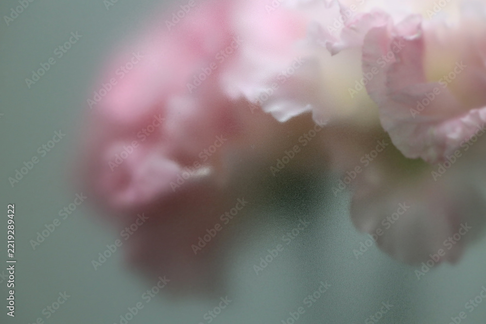 Naklejka premium Smoke selected soft focus beige pink Eustoma. Lisianthu, carnation Flower through translucent matte frosted glass. Abstract natural blurred grain light fog background.