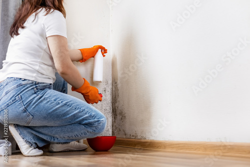 Woman spraying chemical product for mold removal on a damp house wall. Cleaning dirty black fungus, mildew, and moisture damage with protective gloves and spray bottle for hygiene.
