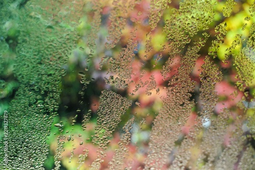 Abstraktes Herbstmotiv mit Wassertropfenmuster an Glasscheibe vor Garten mit Sträuchern und grün-rot-gelben Strauchblättern bei Wind, Sonne und Regen am Morgen im Herbst