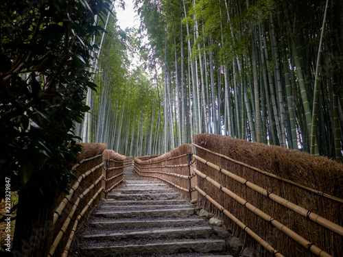 Empty stone stairs path surrounded by bamboo forest and traditional fences in Arashiyama Kyoto Japan