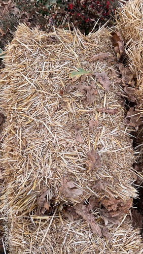 close up of a straw