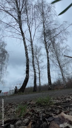 Person stretches arms toward sky. Individual extends hands toward cloudy sky. An individual looks up while reaching actively with their arms toward overhanging clouds above