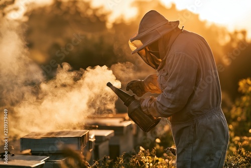 Professional Beekeeper Working Beehives During Golden Hour