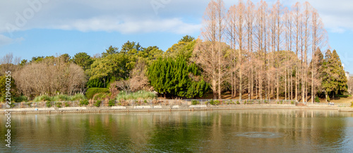 冬の公園