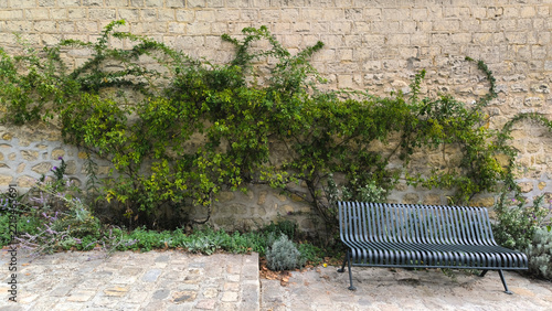 Obraz na plátně Empty Metal Park Bench Against Old Stone Wall with Climbing Rose and Lavender Pl