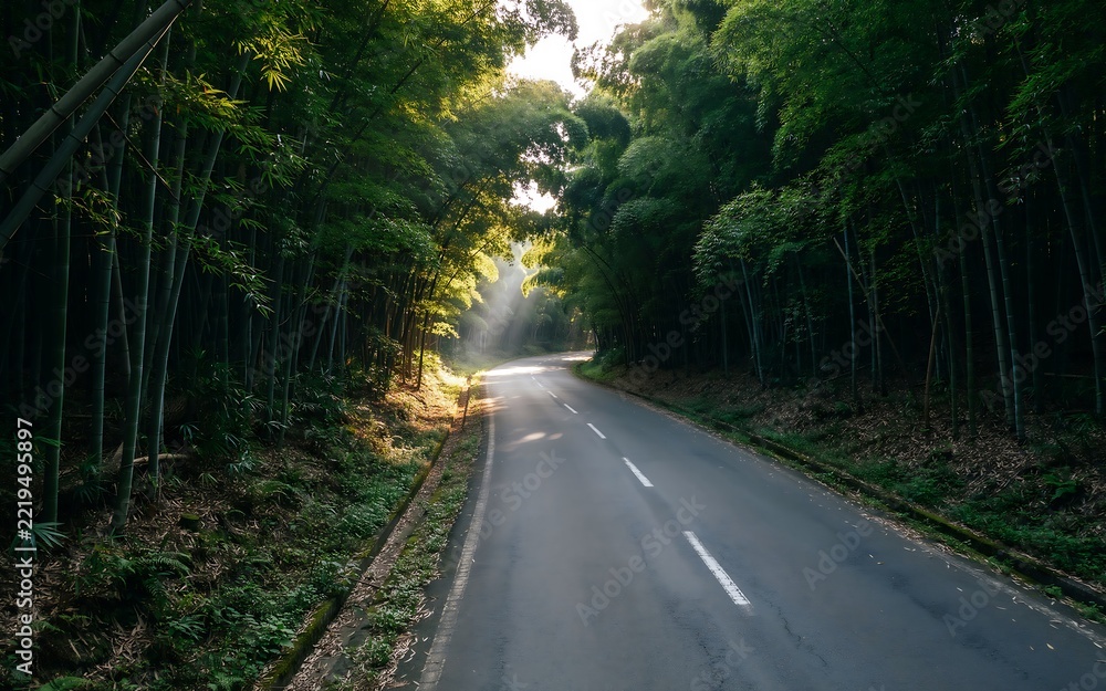 Fototapeta premium A quiet asphalt road winding through a dense bamboo forest with sunbeams breaking through canopy