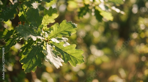 Nature background of sunlit green leaves in summer garden for spring cover page, greenery environment, and ecology wallpaper design