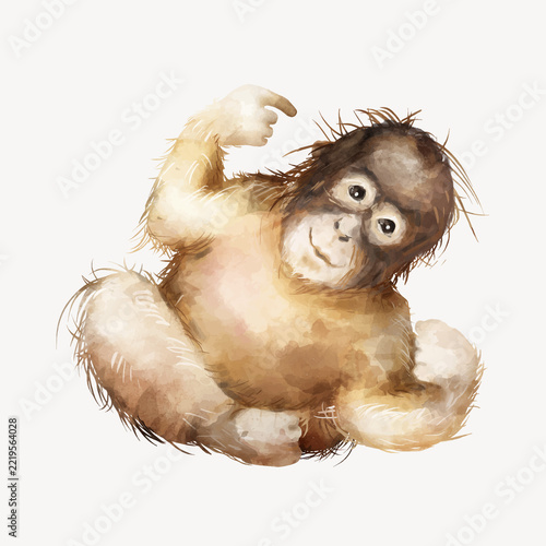 Photography Cute baby orangutan watercolor illustration