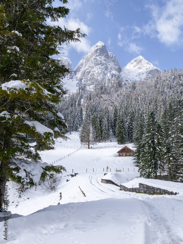 Gosausee mit Donnerkogel im Winter
