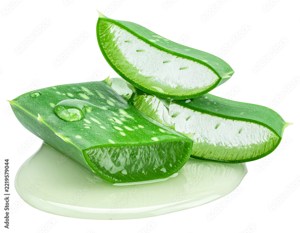Fototapeta premium Cut aloe plant dripping juice close-up isolated on transparent or white backgrounds
