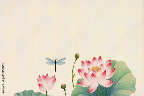 Dragonfly Flying Over Pink Lotus Flowers in Summer Daylight