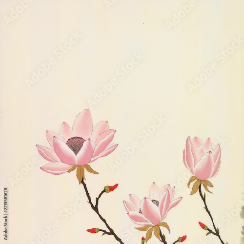 Pink magnolia blooms on branch with buds cream background flat design