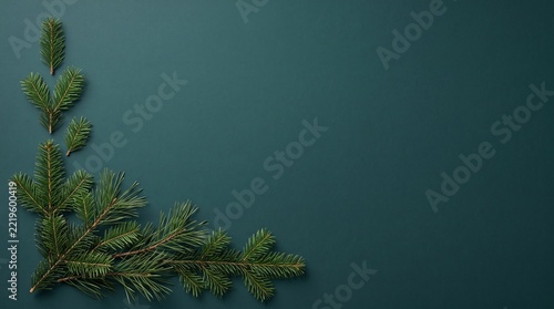 Fresh evergreen pine branch border framing a corner on a deep teal background